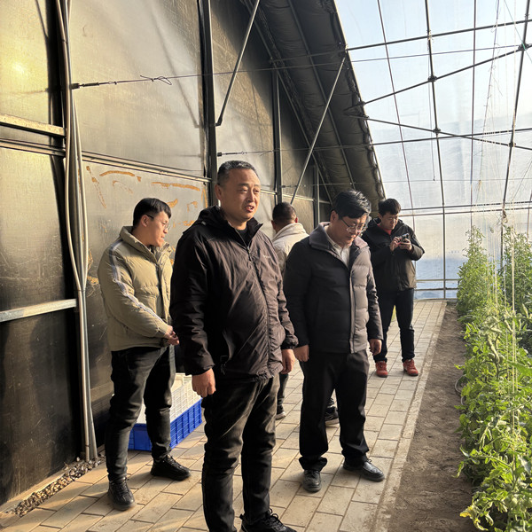 1737364707521136.jpg a47c25e108cbb9431afad16896a5a10_副本.jpg